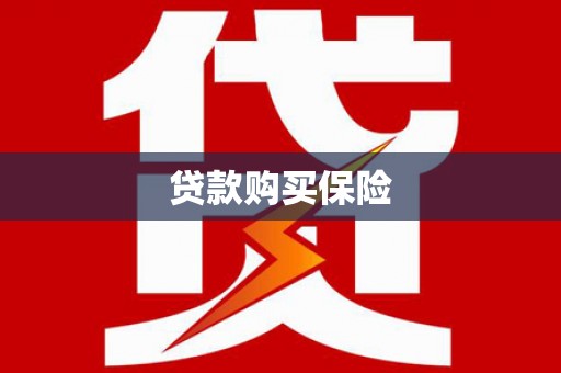 东安贷款购买保险