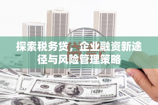 大足探索税务贷，企业融资新途径与风险管理策略
