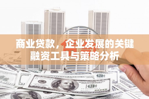 靖宇商业贷款，企业发展的关键融资工具与策略分析