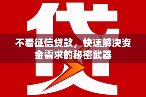 镇巴不看征信贷款，快速解决资金需求的秘密武器
