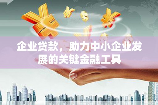 宁明企业贷款，助力中小企业发展的关键金融工具