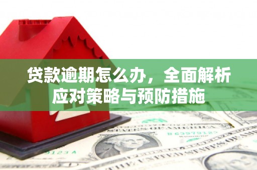 迁安贷款逾期怎么办，全面解析应对策略与预防措施