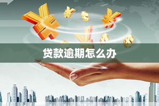 田尾贷款逾期怎么办