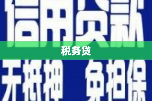 沂水税务贷
