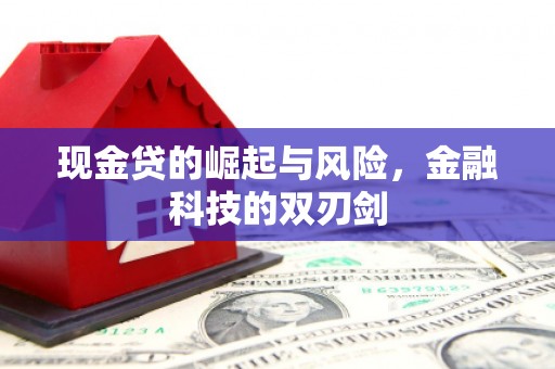 朔城现金贷的崛起与风险，金融科技的双刃剑