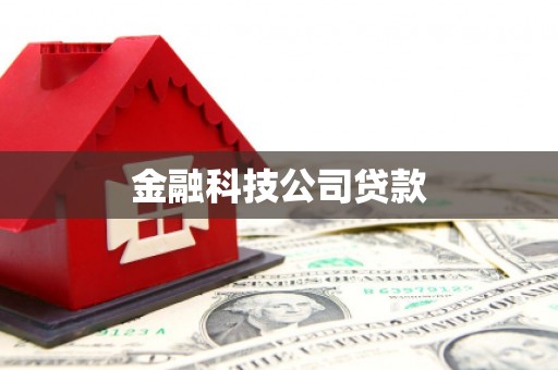 红山金融科技公司贷款