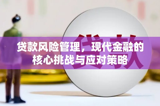 澜沧贷款风险管理，现代金融的核心挑战与应对策略