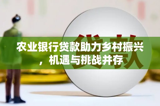 武宣农业银行贷款助力乡村振兴，机遇与挑战并存