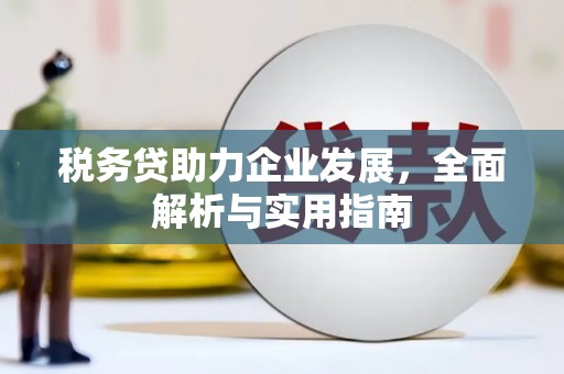 梓潼税务贷助力企业发展，全面解析与实用指南