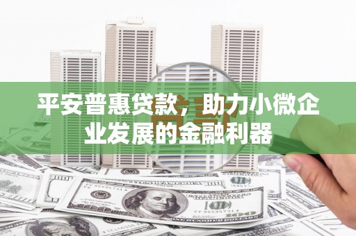 富里平安普惠贷款，助力小微企业发展的金融利器