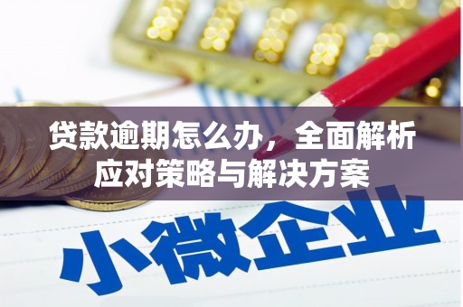 南溪贷款逾期怎么办，全面解析应对策略与解决方案