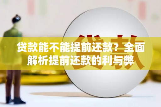 姚安贷款能不能提前还款？全面解析提前还款的利与弊