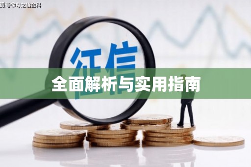 镇巴全面解析与实用指南