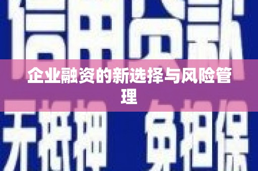 晋江企业融资的新选择与风险管理