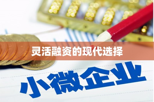 泸西灵活融资的现代选择