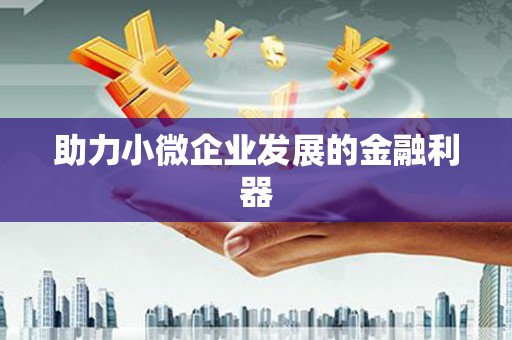 德宏助力小微企业发展的金融利器