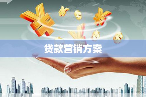 望城贷款营销方案