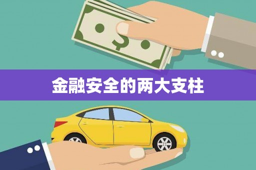 保税区金融安全的两大支柱